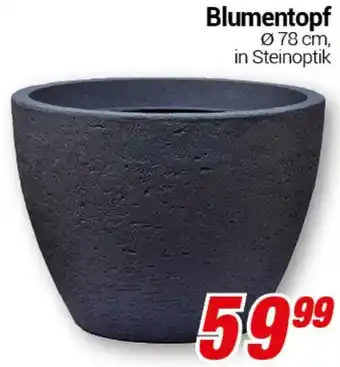 CENTERSHOP Blumentopf Angebot