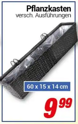 CENTERSHOP Pflanzkasten Angebot