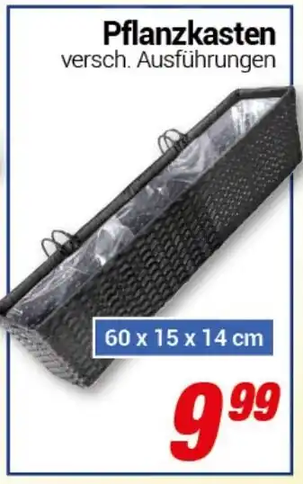CENTERSHOP Pflanzkasten Angebot