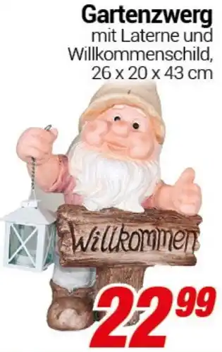 CENTERSHOP Gartenzwerg Angebot