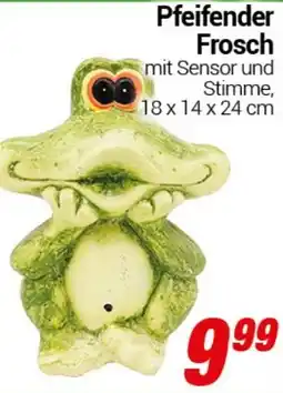 CENTERSHOP Pfeifender Frosch Angebot