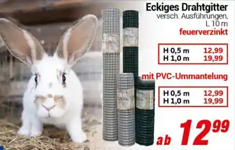 CENTERSHOP Eckiges Drahtgitter Angebot