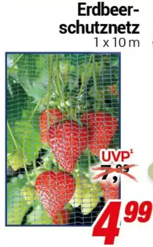 CENTERSHOP Erdbeerschutznetz Angebot