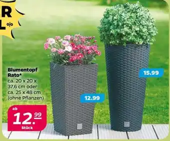 NETTO Blumentopf „Rato“ Angebot