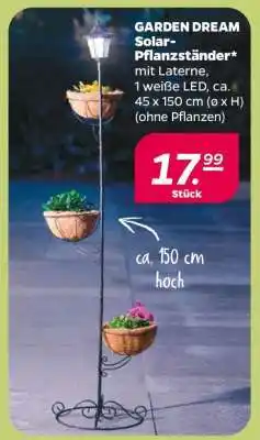 NETTO GARDEN DREAM Solar-Pflanzständer Angebot