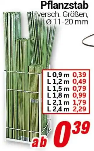 CENTERSHOP Pflanzstab Angebot