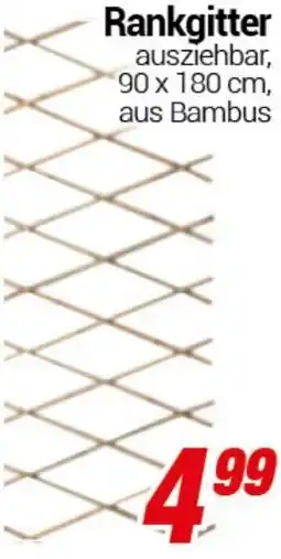 CENTERSHOP Rankgitter Angebot