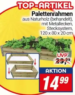 CENTERSHOP Palettenrahmen Angebot