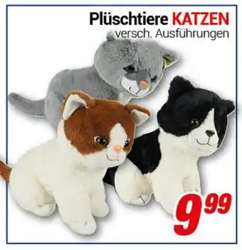 CENTERSHOP Plüschtiere KATZEN Angebot