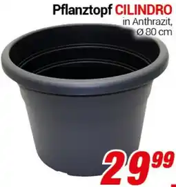 CENTERSHOP Pflanztopf CILINDRO Angebot