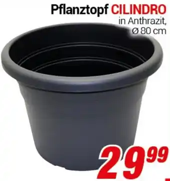 CENTERSHOP Pflanztopf CILINDRO Angebot