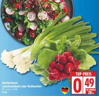 Edeka Deutschland Lauchzwiebeln oder Radieschen Angebot
