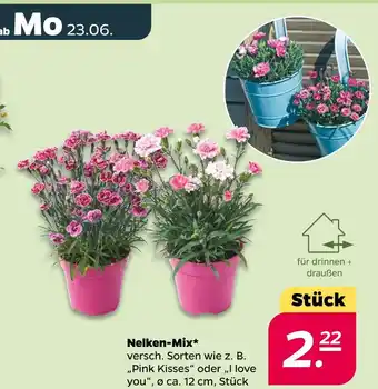 NETTO Nelken-mix pink kisses Angebot