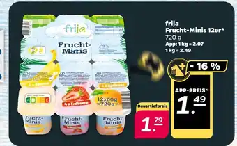 NETTO Frija frucht-minis 12er Angebot
