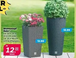 NETTO Rato blumentopf Angebot