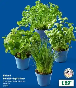 Lidl Bioland schnittlauch Angebot