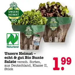 E-Center Unsere heimat bio bunte salate Angebot