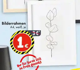 TEDi Bilderrahmen Angebot