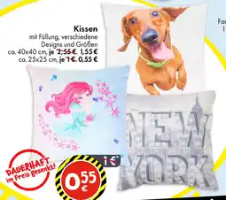TEDi Kissen Angebot