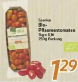 inkoop Spanien Bio- Pflaumentomaten Angebot