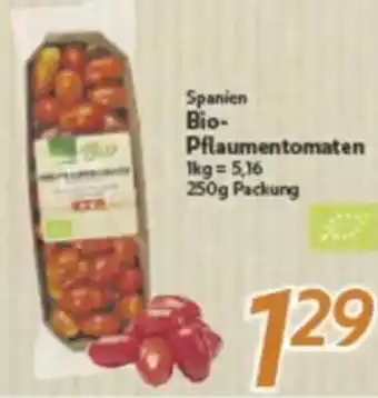 inkoop Spanien Bio- Pflaumentomaten Angebot