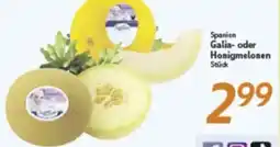 inkoop Spanien Galia- oder Honigmelonen Angebot