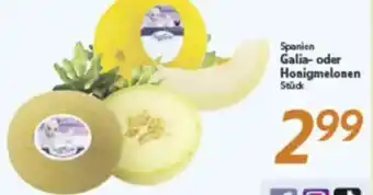 inkoop Spanien Galia- oder Honigmelonen Angebot