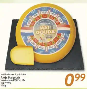 inkoop Antje Maigouda Angebot