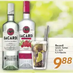 inkoop Bacardi Angebot