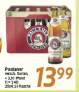 inkoop Paulaner Angebot