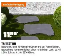 OBI TRITTSTEIN Angebot