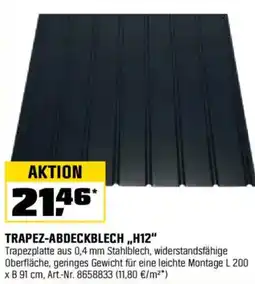 OBI TRAPEZ-ABDECKBLECH,,H12" Angebot