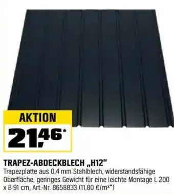 OBI TRAPEZ-ABDECKBLECH,,H12" Angebot