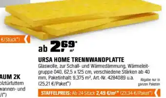 OBI URSA HOME TRENNWANDPLATTE Angebot