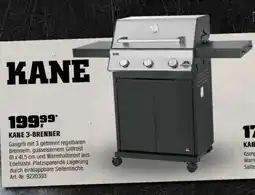 OBI JAMESTOWN GRILL KANE Angebot