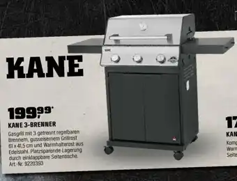 OBI JAMESTOWN GRILL KANE Angebot