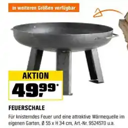 OBI FEUERSCHALE Angebot