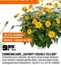 OBI SONNENBLUME „SUFINITY DOUBLE YELLOW" Angebot