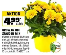 OBI GROW BY OBI STAUDEN MIX Angebot