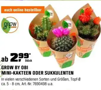 OBI GROW BY OBI MINI-KAKTEEN ODER SUKKULENTEN Angebot