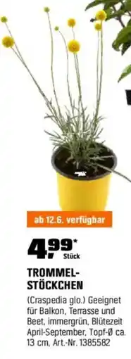OBI TROMMEL- STÖCKCHEN Angebot