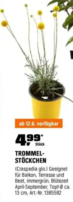 OBI TROMMEL- STÖCKCHEN Angebot