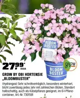 OBI GROW BY OBI HORTENSIE BUSTER ,,BLOOMBUSTER" Angebot