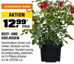 OBI BEET- UND EDELROSEN Angebot