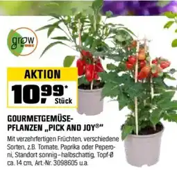 OBI GOURMETGEMÜSE- PFLANZEN,,PICK AND JOY" Angebot