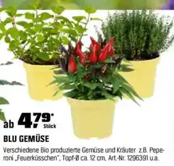 OBI BLU GEMÜSE Angebot