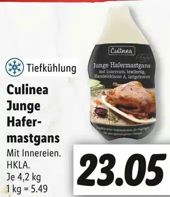 Lidl Culinea junge hafermastgans Angebot