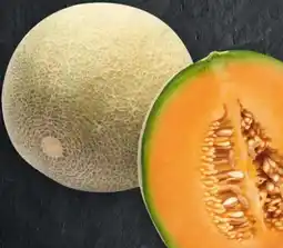 Handelshof Cantaloupemelonen Angebot