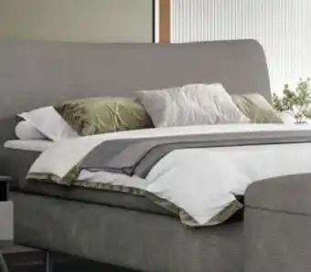 XXXLutz Esposa Boxspringbett Angebot