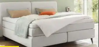 XXXLutz Ruf Betten Boxspringbett Angebot